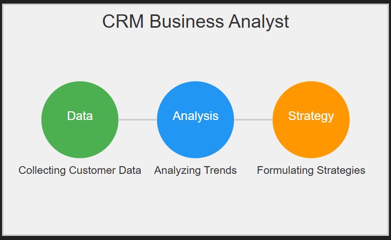 CRM Business Analyst: The Digital Architect of Customer Success