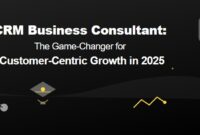 CRM Business Consultant: The Game-Changer for Customer-Centric Growth in 2025